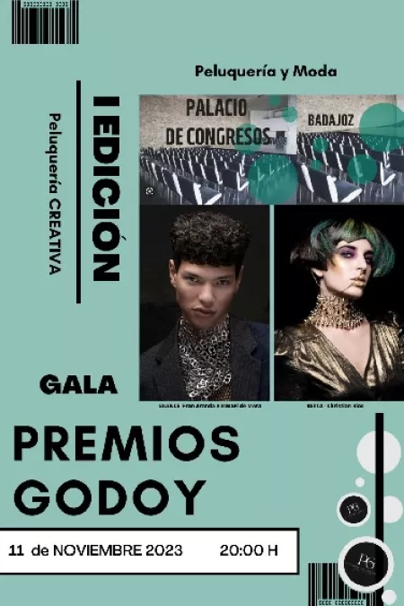 Premios Godoy