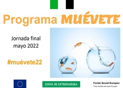 CARTEL (2).jpg